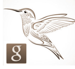 Google logo and hummingbird